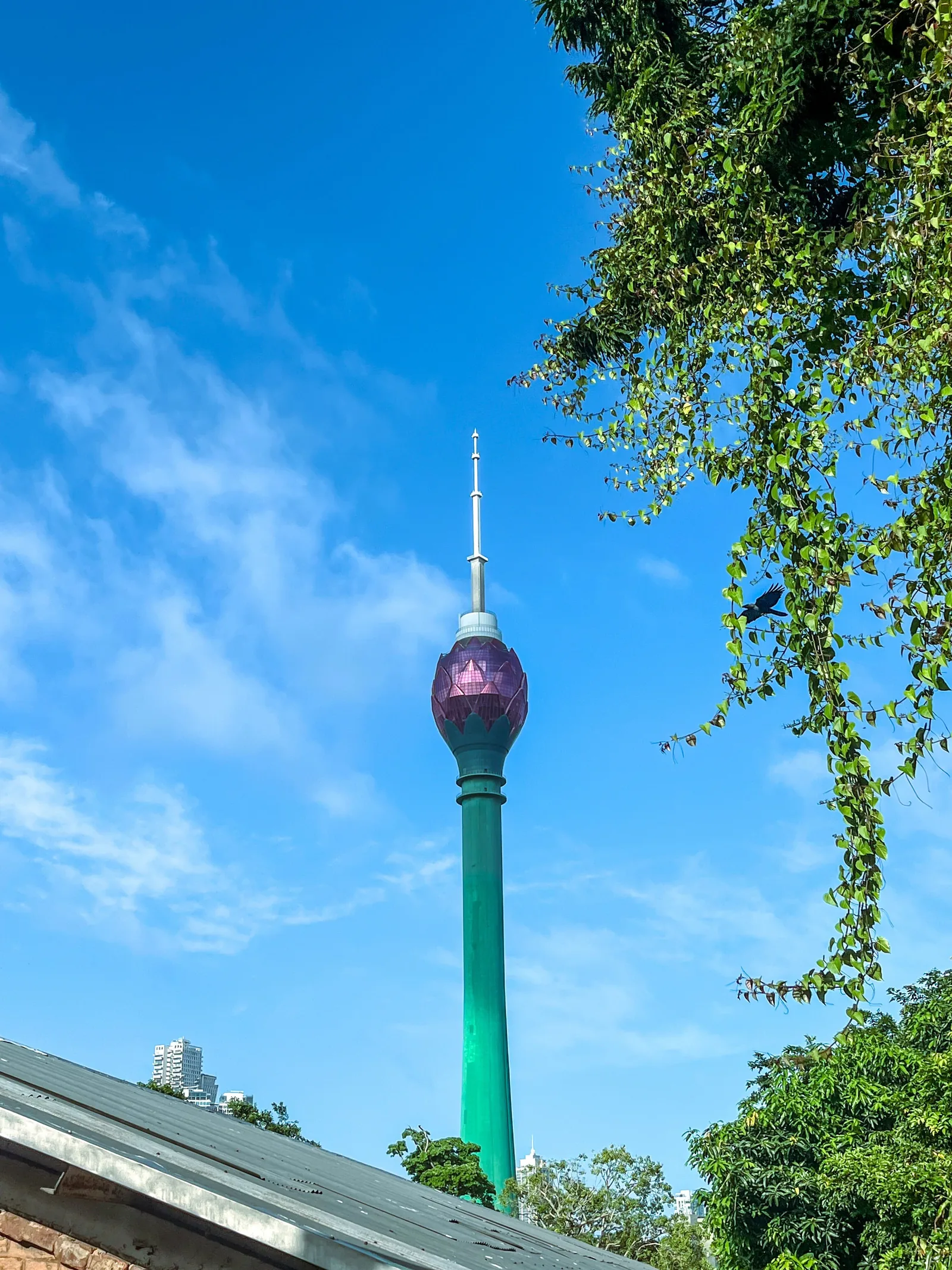 Aesthetic photography capture by Jathu Mathews