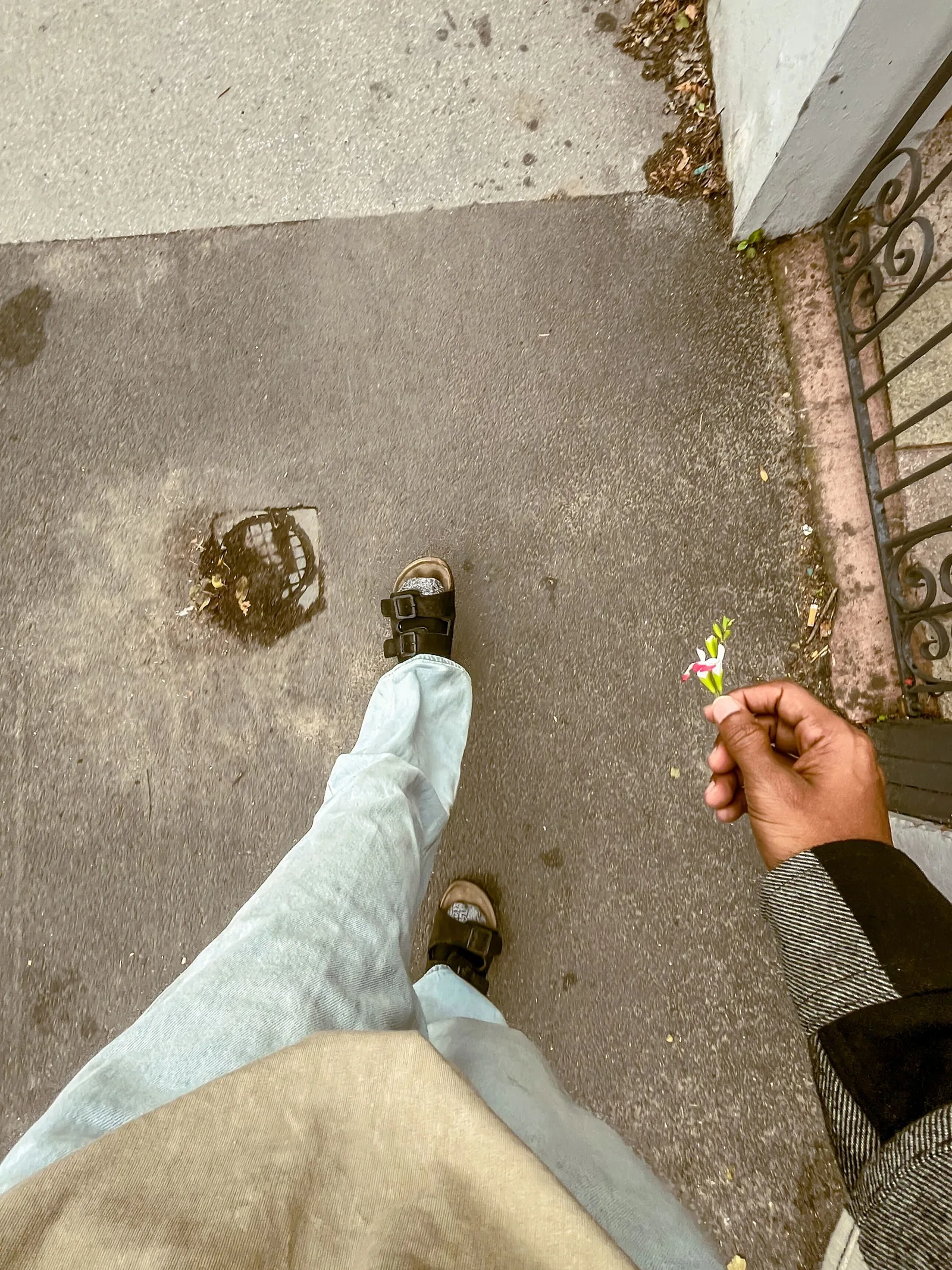 Aesthetic photography capture by Jathu Mathews